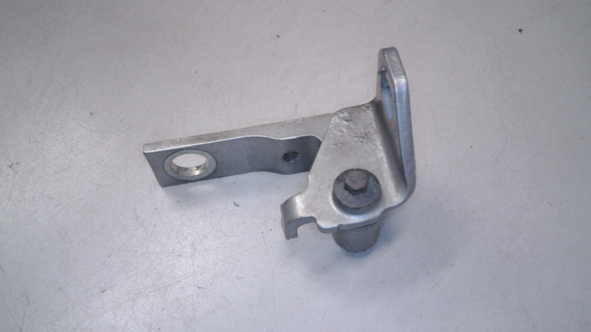 TÜRSCHARNIER SCHARNIER TÜRE HINTEN LINKS UNTEN