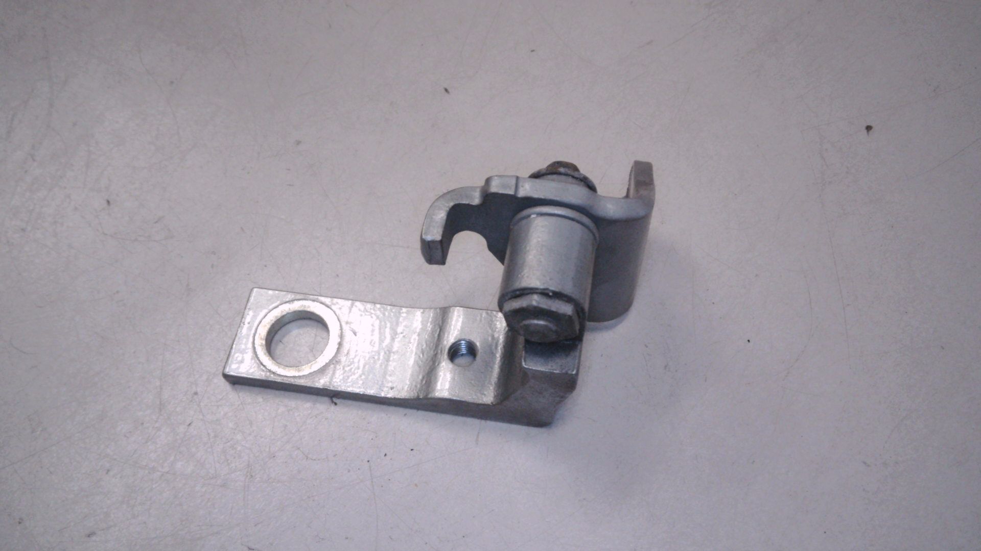 TÜRSCHARNIER SCHARNIER TÜRE HINTEN LINKS UNTEN