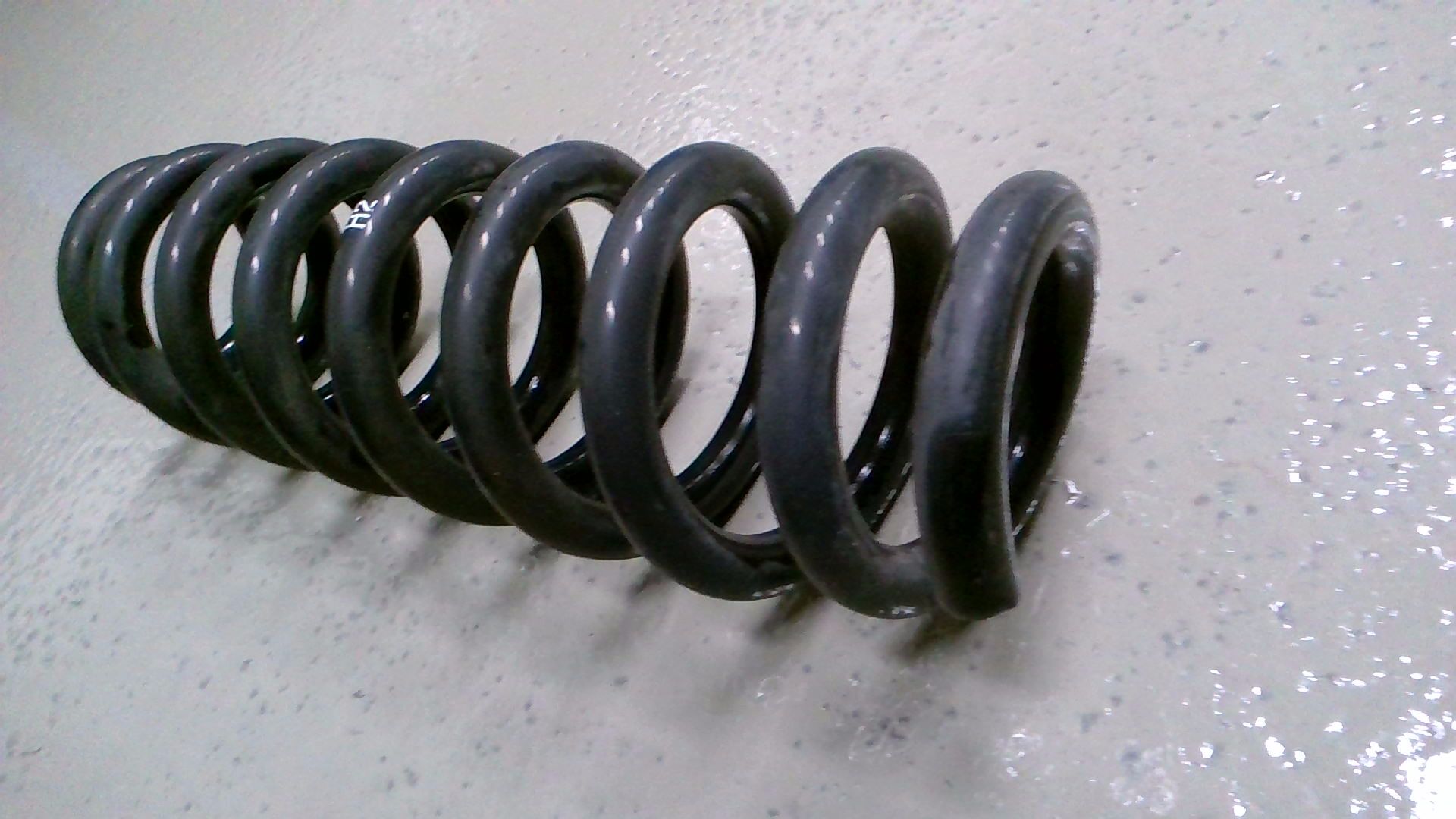 Hinterfeder Links