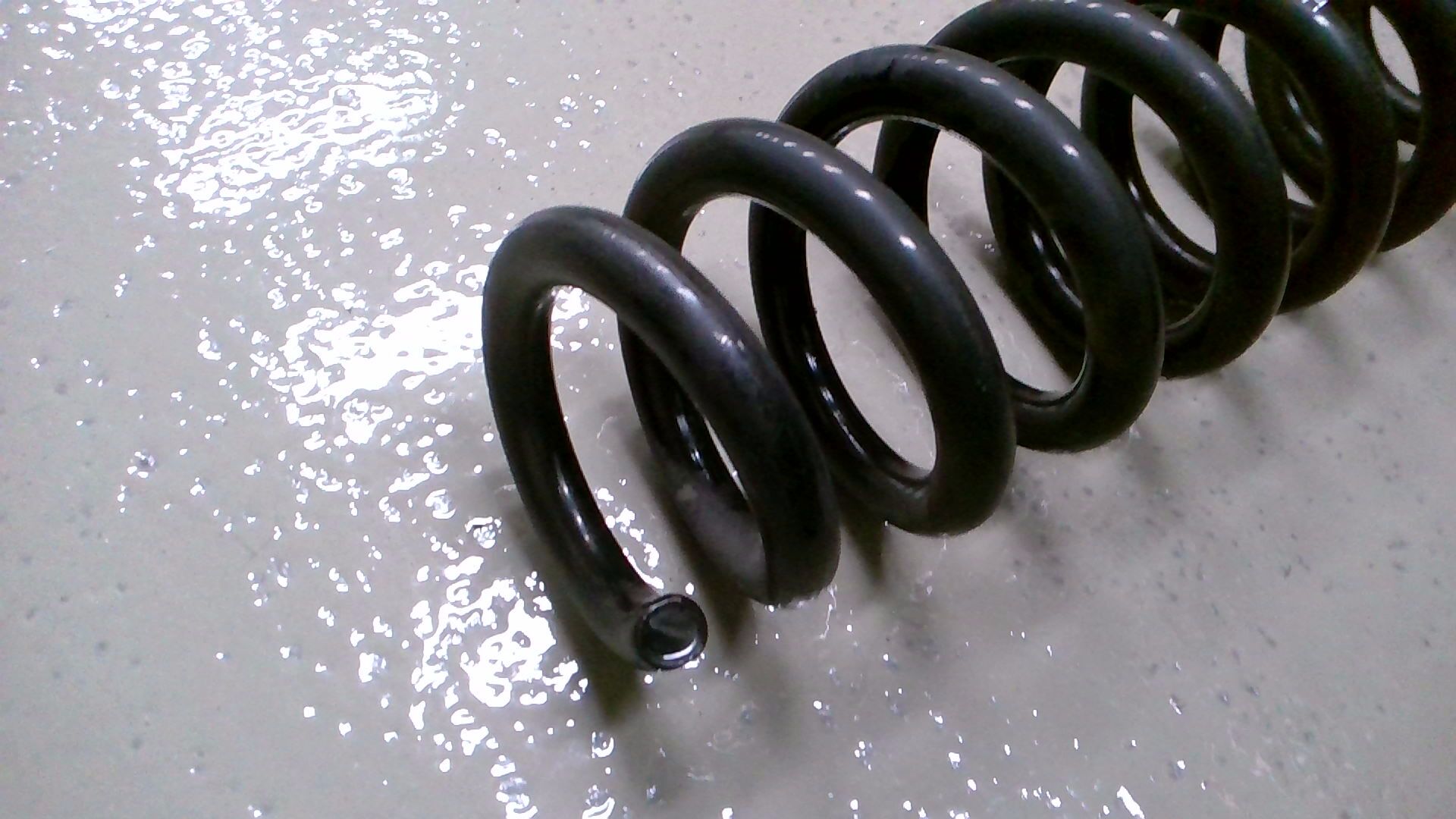 Hinterfeder Links